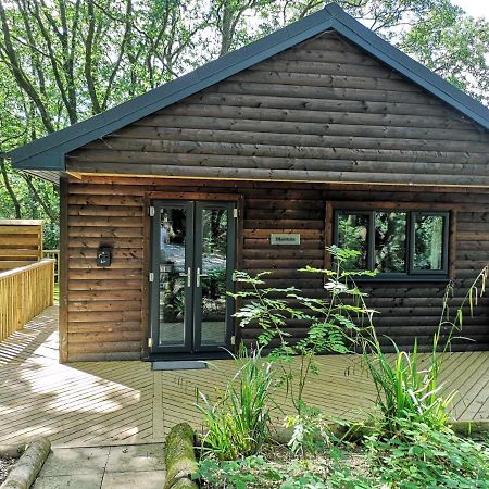 Bluestone-Hot Tub-Woodlandlodges-Pembrokeshire-Tenby Carmarthen Esterno foto